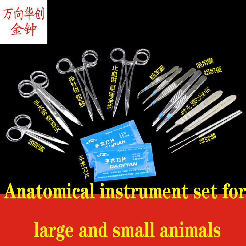 Golden Bell planing surgical i - Medical Lab Units review and price